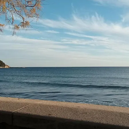 Le Marvivo * La Seyne-sur-Mer